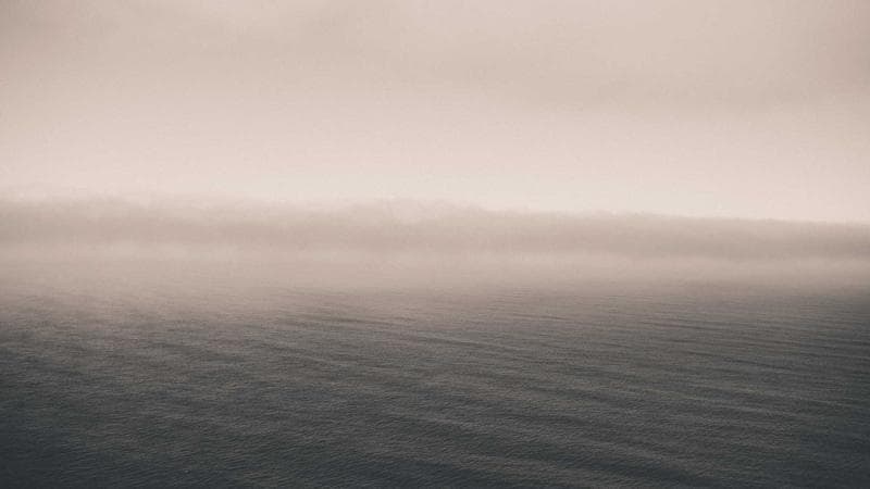 Habbatus Sauda: what the research actually says